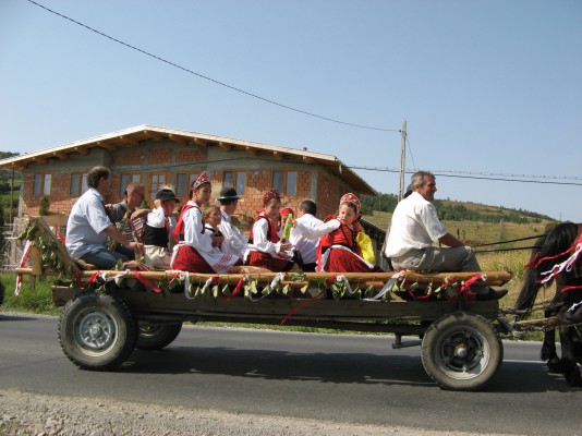 Horse-driven cart